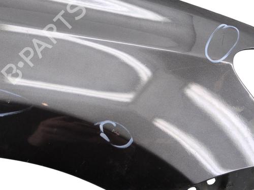 Right front fenders VW POLO V (6R1, 6C1) 1.6 TDI | BP29560660C42 