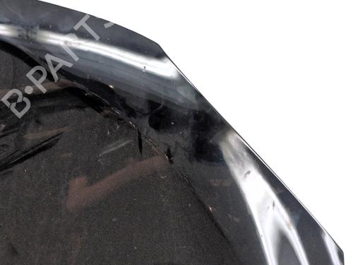 Hood RENAULT MEGANE III Coupe (DZ0/1_) 1.9 dCi (DZ0N, DZ0J, DZ1J, DZ1K) | BP27172249C1 
