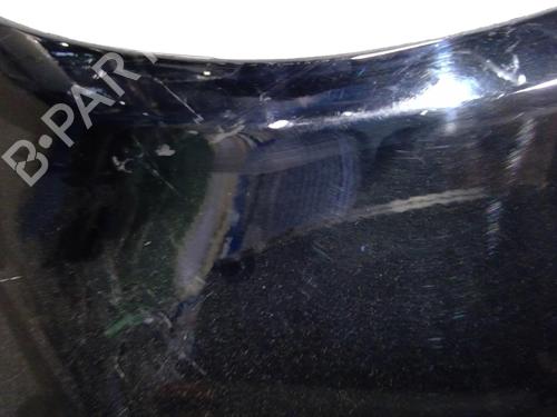 Left front fenders SEAT ALHAMBRA (7V8, 7V9)  | BP25081976C41 