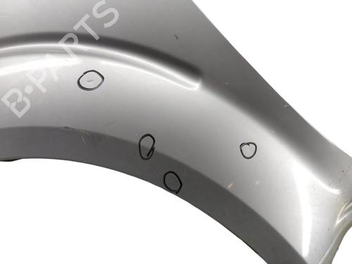 Left front fenders NISSAN PATHFINDER III (R51)  | BP25100036C41 