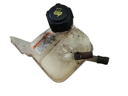 Vaso de expansão RENAULT KOLEOS I (HY_) 2.0 dCi 4x4 (HY0K) (150 hp) 31183645