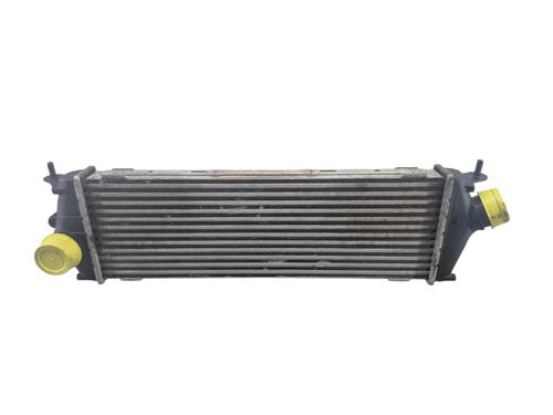 Intercooler RENAULT TRAFIC II Bus (JL) 2.0 dCi 90 (JL00, JL01, JL0H, JL0M, JL0P, JL0S) | BP33028759M30 - Image 6