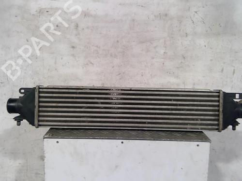 Used Intercooler Intercooler FIAT BRAVO II (198_) 1.6 D Multijet (198AXH1B) (105 hp) 25093760 25093760