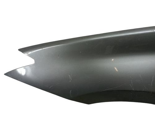 Left front fenders RENAULT LAGUNA III (BT0/1) 2.0 16V (BT05, BT0F, BT0W) | BP29175561C41 