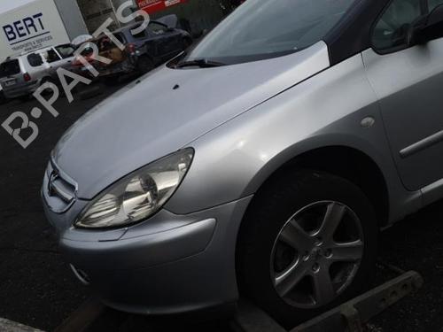 Tailgate PEUGEOT 307 CC (3B) 2.0 16V | BP25093451C6 