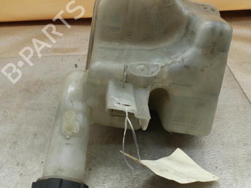 Used Expansion tank RENAULT LAGUNA II (BG0/1_) 2.0 16V (BG00, BG0K, BG0P, BG0W) (135 hp) 25081780