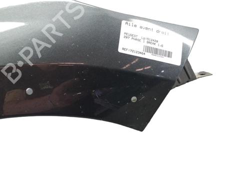 Right front fenders PEUGEOT 207 SW (WK_) 1.6 HDi | BP25061909C42 