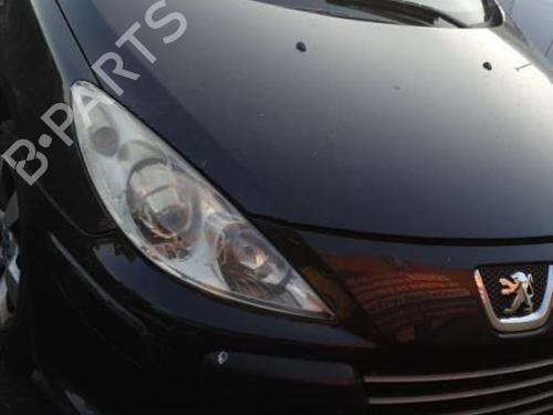 Elektronisk modul PEUGEOT 307 CC (3B) 2.0 16V | BP25111222M83 