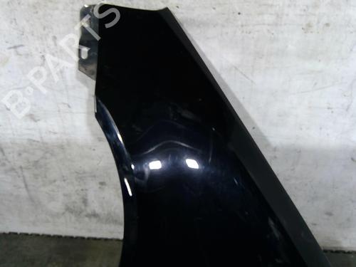 Left front fenders SEAT ALHAMBRA (7V8, 7V9)  | BP25081976C41 