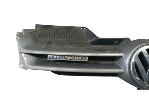 Grille VW GOLF V (1K1) 1.9 TDI | BP28591017C40 