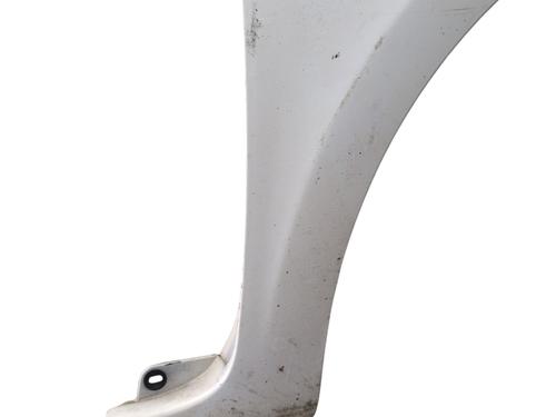 Used Right front fenders RENAULT CLIO III (BR0/1, CR0/1) 1.5 dCi (C/BR0G, C/BR1G) (68 hp) 29175550