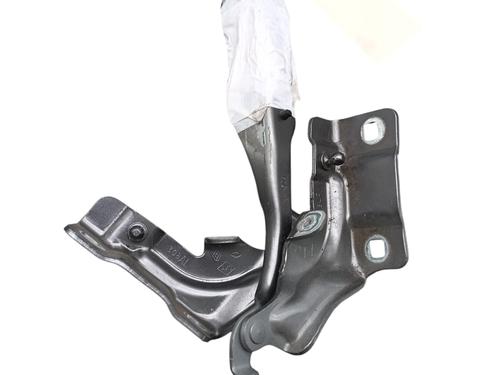 hingedoor-check-strap-renault-arkana-i-lcm_-ldn_-2019-31858402 main image