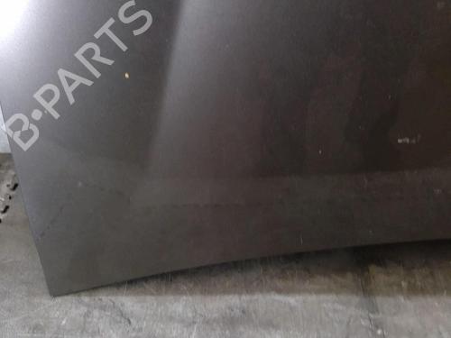 Hood FIAT BRAVO II (198_) 1.6 D Multijet (198AXH1B) | BP25093774C1