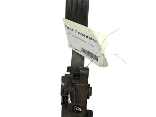 Pedal RENAULT GRAND SCÉNIC III (JZ0/1_) 1.9 dCi (JZ0J, JZ0N, JZ1K, JZ1S) | BP30543379I4