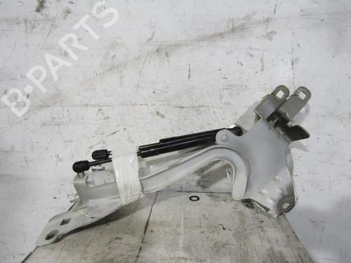 Used Hinge/Door check strap RENAULT SCÉNIC III (JZ0/1_) 1.5 dCi (110 hp) 25085195