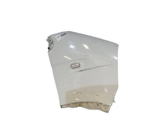 Right front fenders RENAULT MASTER II Van (FD) 2.5 dCi | BP25096877C42 