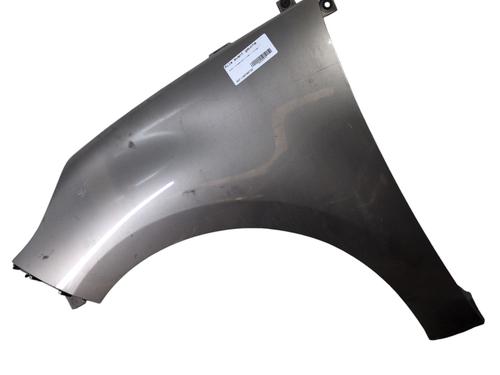 Left front fenders RENAULT SCÉNIC III (JZ0/1_) 1.5 dCi | BP27506771C41 
