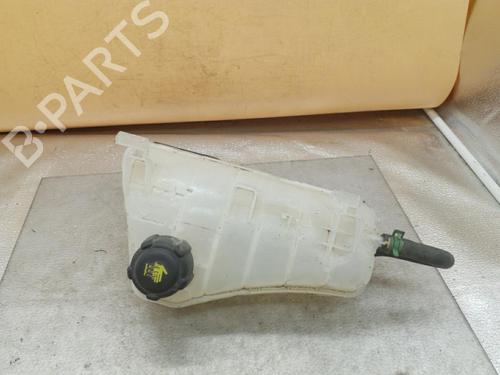Expansion tank RENAULT KANGOO Express (FW0/1_) 1.5 dCi 110 (FW06, FW12) | BP25105352C120 