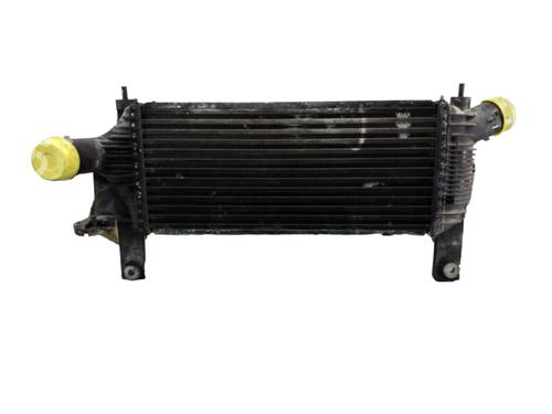 Intercooler NISSAN PATHFINDER III (R51)  | BP25100049M30 