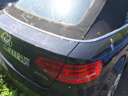 Brugte AUDI A3 Convertible (8P7) 2.0 TDI 4657608