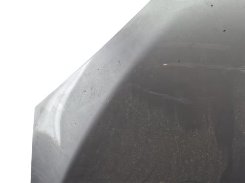 Hood RENAULT MEGANE III Hatchback (BZ0/1_, B3_) 1.2 TCe (BZ2B, BZ11) | BP28623525C1 