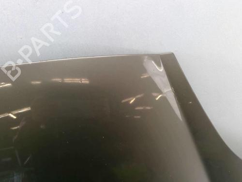 Hood FIAT BRAVO II (198_) 1.9 D Multijet (198AXE1A) | BP25089719C1