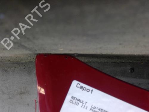 Used Hood RENAULT CLIO III (BR0/1, CR0/1) 1.5 dCi (BR17, CR17) (86 hp) 25082809