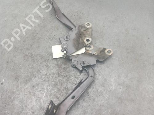 Used Hinge/Door check strap RENAULT MEGANE III Hatchback (BZ0/1_, B3_) 1.5 dCi (BZ09, BZ0D, BZ1W, BZ29, BZ14) (110 hp) 25060286