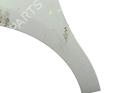 Left front fenders CITROËN C3 II (SC_) 1.4 HDi 70 (SC8HZC, SC8HR0, SC8HP4) | BP29175595C41 