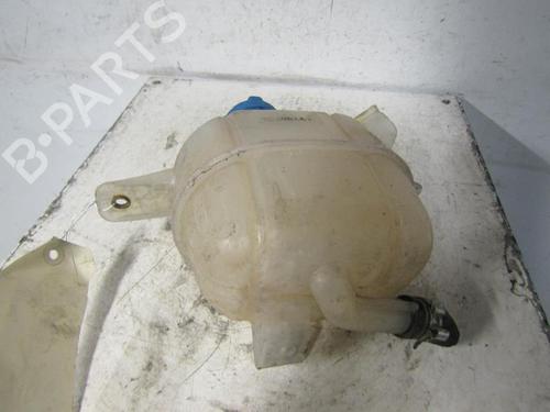 Expansion tank FIAT FIORINO Box Body/MPV (225_) 1.3 D Multijet | BP25064378C120 