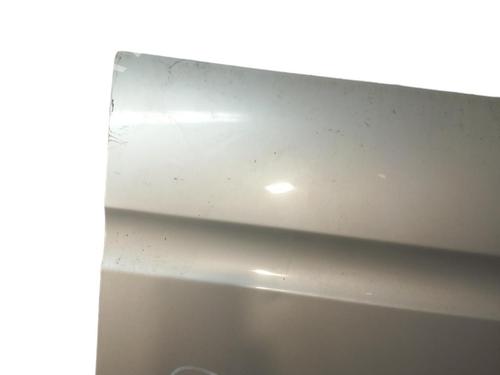 Left front door NISSAN PATHFINDER III (R51)  | BP25100027C2 