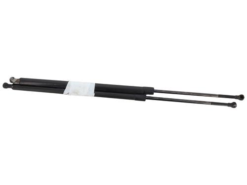 tailgate-lift-support-renault-grand-scenic-iii-jz01_-2009-2010-2011-2012-2013-2014-2015-2016-40094239 main image