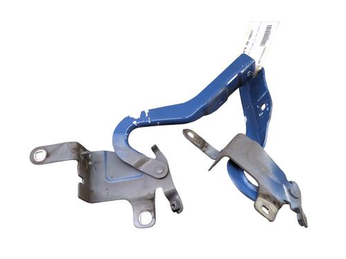 Deurscharnier/Deurvanger RENAULT CLIO IV (BH_) 1.5 dCi 75 (75 hp) 29956317