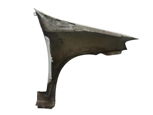 Left front fenders FIAT PUNTO (188_)  | BP25103090C41 