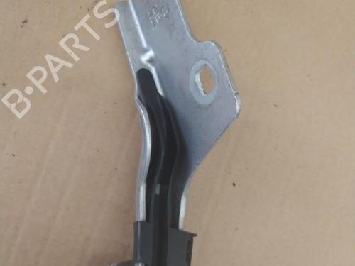 Hinge/Door check strap RENAULT CLIO III (BR0/1, CR0/1) 1.6 16V (BR09, BR0T, CR09, CR0T) | BP25101351C146 