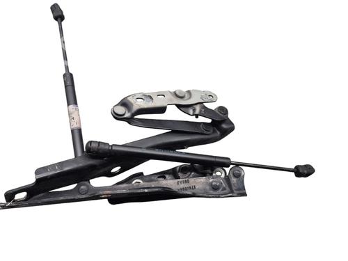 Hinge/Door check strap CHRYSLER 300C (LX, LE) 3.0 CRD | BP25056406C146 