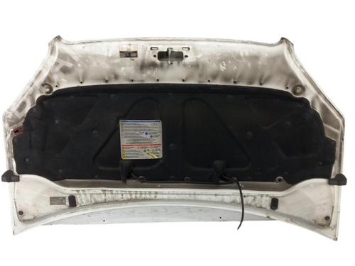 Hood FIAT DOBLO Box Body/MPV (223_)  | BP25102794C1 