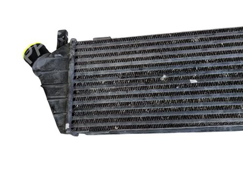 Intercooler NISSAN MICRA III (K12) 1.5 dCi (86 hp) 29610171