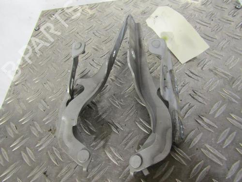 Hinge/Door check strap NISSAN MURANO I (Z50) 3.5 4x4 | BP25069684C146 