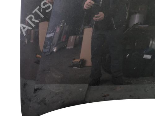 Hood VW GOLF VI (5K1) 1.4 TSI | BP31602690C1 