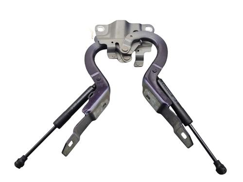 Used Hinge/Door check strap RENAULT ZOE (BFM_) [2012-2025]  25097798