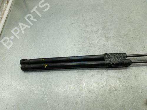 Tailgate lift support SKODA RAPID (NH3, NK3, NK6) 1.6 TDI | BP25104413C138 