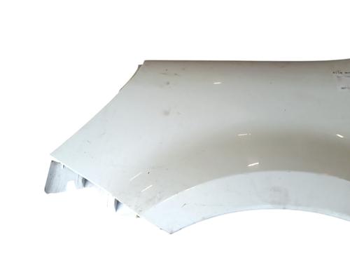 Kotflügel links vorne für RENAULT MODUS / GRAND MODUS (F/JP0_) 1.2 (JP0C, JP0K, FP0C, FP0K, FP0P, JP0P, JP0T) (75 hp) 31064610