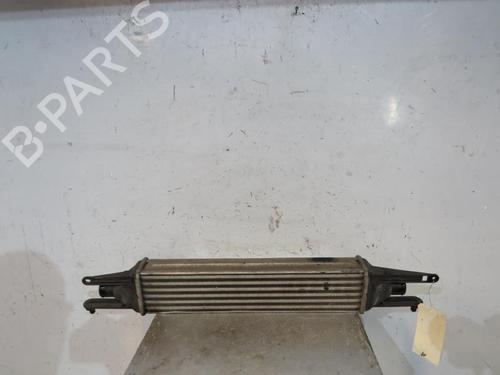 Used Intercooler FIAT GRANDE PUNTO (199_) 1.3 D Multijet (75 hp) 25114377
