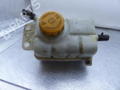 Used Expansion tank CHEVROLET AVEO / KALOS Hatchback (T250, T255) 1.4 (101 hp) 25064670