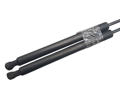 Tailgate lift support PEUGEOT 308 I (4A_, 4C_) 2.0 HDi | BP25059419C138 