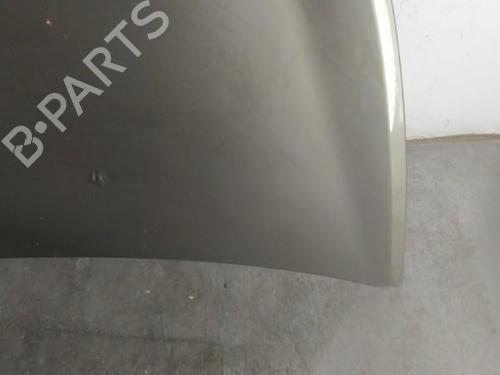 Used Hood RENAULT CLIO III Grandtour (KR0/1_) 1.6 16V (KR0B) (112 hp) 25060484