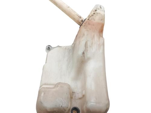 Windscreen washer tank RENAULT MEGANE III Coupe (DZ0/1_) 2.0 dCi (DZ0Y) 289101185R