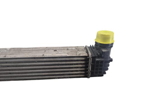 Used Intercooler RENAULT SCÉNIC III (JZ0/1_) 1.2 TCe (JZ16) (132 hp) 31329970