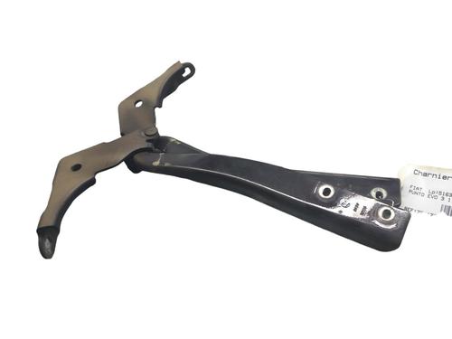 hingedoor-check-strap-fiat-punto-199_-2012-25073855 main image